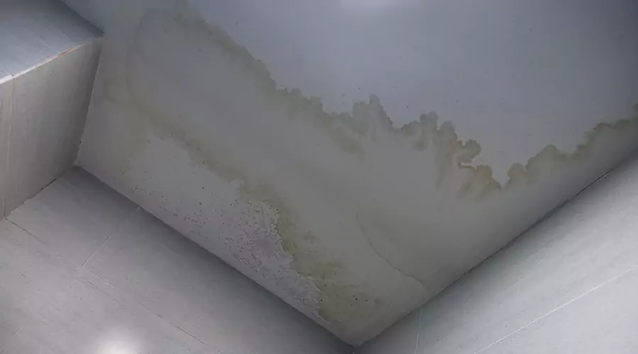 Warning Signs Your Roof Leak Is Causing Hidden Damage