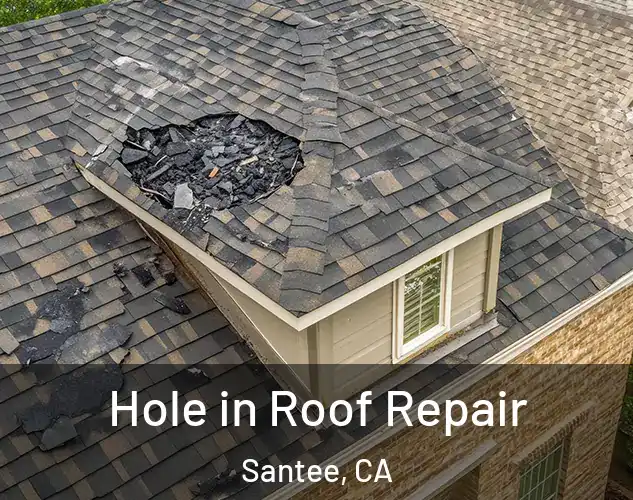  Hole in Roof Repair Santee, CA