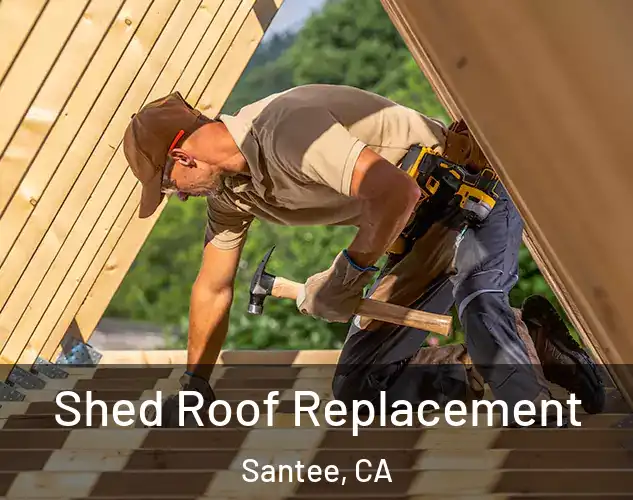  Shed Roof Replacement Santee, CA