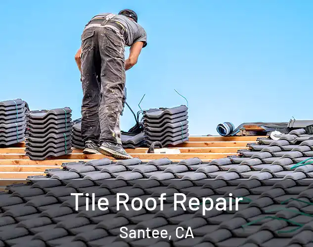  Tile Roof Repair Santee, CA