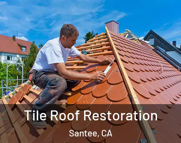  Tile Roof Restoration Santee, CA
